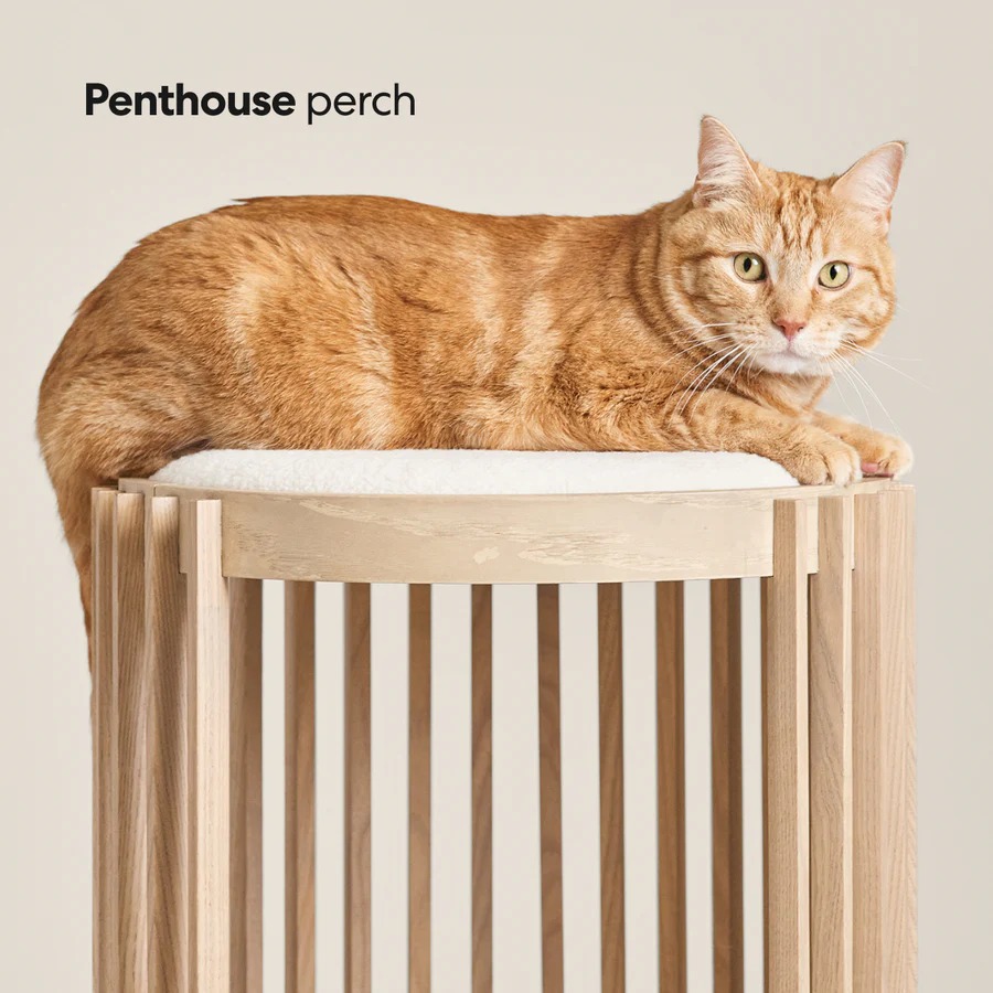 Grove Cat Tower
